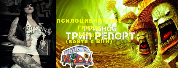 таблы Алексеевка