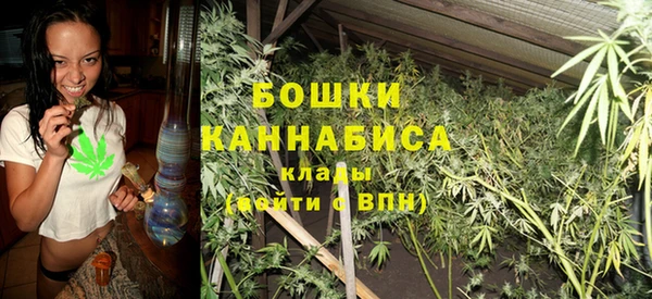 прущие крисы Сосновый Бор