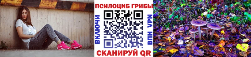как найти наркотики  Дедовск  Псилоцибиновые грибы Cubensis 
