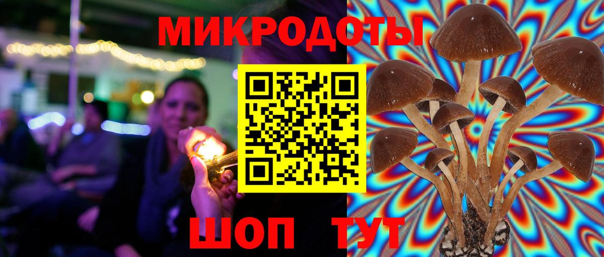 Галлюциногенные грибы мицелий  Псилоцибиновые грибы GOLDEN TEACHER  Дедовск 